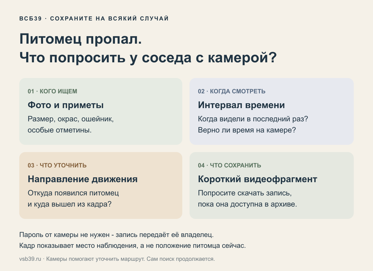 Памятка: фото и приметы питомца, интервал времени, направление движения и просьба сохранить фрагмент